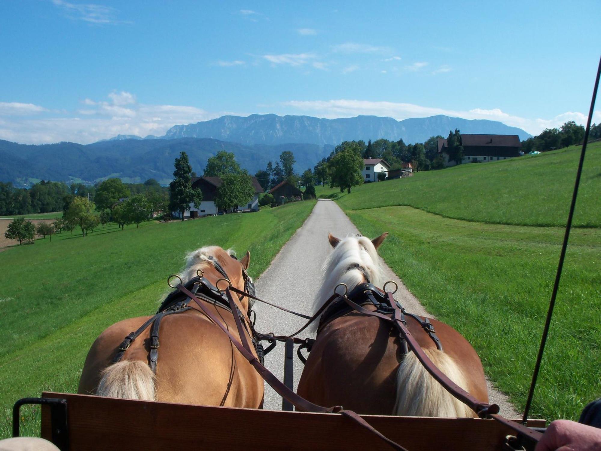 Gasthofladen Schneeweiss Attersee ภายนอก รูปภาพ